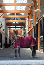 Load image into Gallery viewer, Shires Mini Highlander Winter Blanket 200g-Horse Blanket-Pegasus-33"-Maroon-Evolution Equestrian Co.