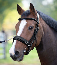 Load image into Gallery viewer, Waldhausen Anatomic Lunge Cavesson-Bitless Bridle-Can Pro Equestrian Supply-Havana-Cob-Evolution Equestrian Co.