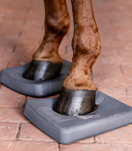 Load image into Gallery viewer, Horse hooves on a gray foot trimmer against a brick background