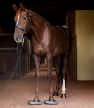 Load image into Gallery viewer, Brown horse standing in a stable