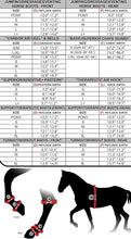 Load image into Gallery viewer, Zandona Superior Air Fetlock Boots-Horse Boots-Consignment-Evolution Equestrian Co.