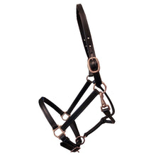Load image into Gallery viewer, Deluxe 3/4" Double Stitched Leather Halters-Horse Halters-Can Pro Equestrian Supply-Cob-Havana-Evolution Equestrian Co.