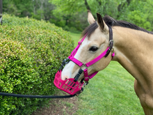 Load image into Gallery viewer, Green Guard Grazing Muzzle-Horse Care-Can Pro Equestrian Supply-Mini-Black-Evolution Equestrian Co.
