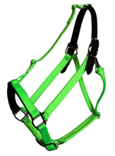 Load image into Gallery viewer, Green Guard Halter-Horse Halters-Can Pro Equestrian Supply-Mini-Black-Evolution Equestrian Co.
