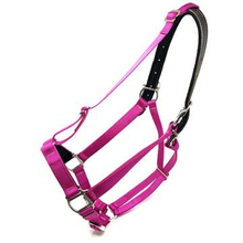Load image into Gallery viewer, Green Guard Halter-Horse Halters-Can Pro Equestrian Supply-Mini-Black-Evolution Equestrian Co.