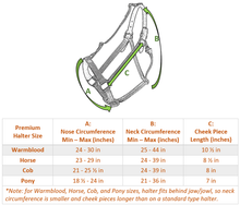 Load image into Gallery viewer, Green Guard Halter-Horse Halters-Can Pro Equestrian Supply-Mini-Black-Evolution Equestrian Co.