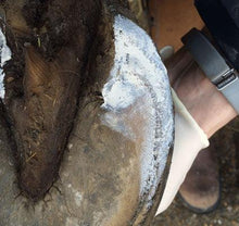 Load image into Gallery viewer, Red Horse Products Artimud-Horse Care-Red Horse Products - UK-300g-Evolution Equestrian Co.