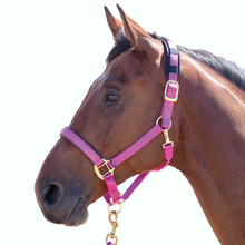 Load image into Gallery viewer, Shires Topaz Breakaway Halter-Halter-Pegasus-Raspberry-XS- Pony-Evolution Equestrian Co.