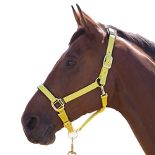 Load image into Gallery viewer, Shires Topaz Breakaway Halter-Halter-Pegasus-Yellow-XS- Pony-Evolution Equestrian Co.
