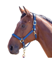 Load image into Gallery viewer, Shires Topaz Breakaway Halter-Halter-Pegasus-Navy-XS- Pony-Evolution Equestrian Co.