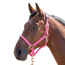 Load image into Gallery viewer, Shires Topaz Breakaway Halter-Halter-Pegasus-Pink-XS- Pony-Evolution Equestrian Co.