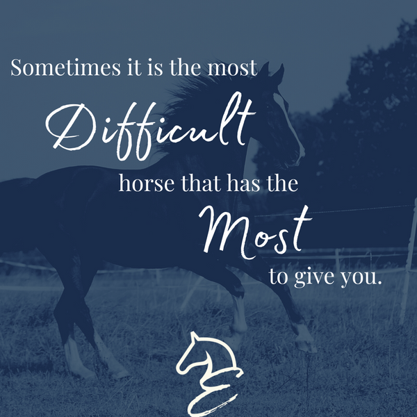 Your Top 10 Favorite Horse Quotes