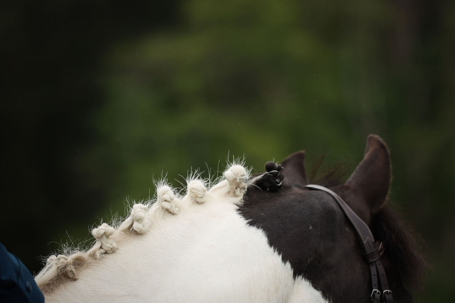How to use the Solo Comb