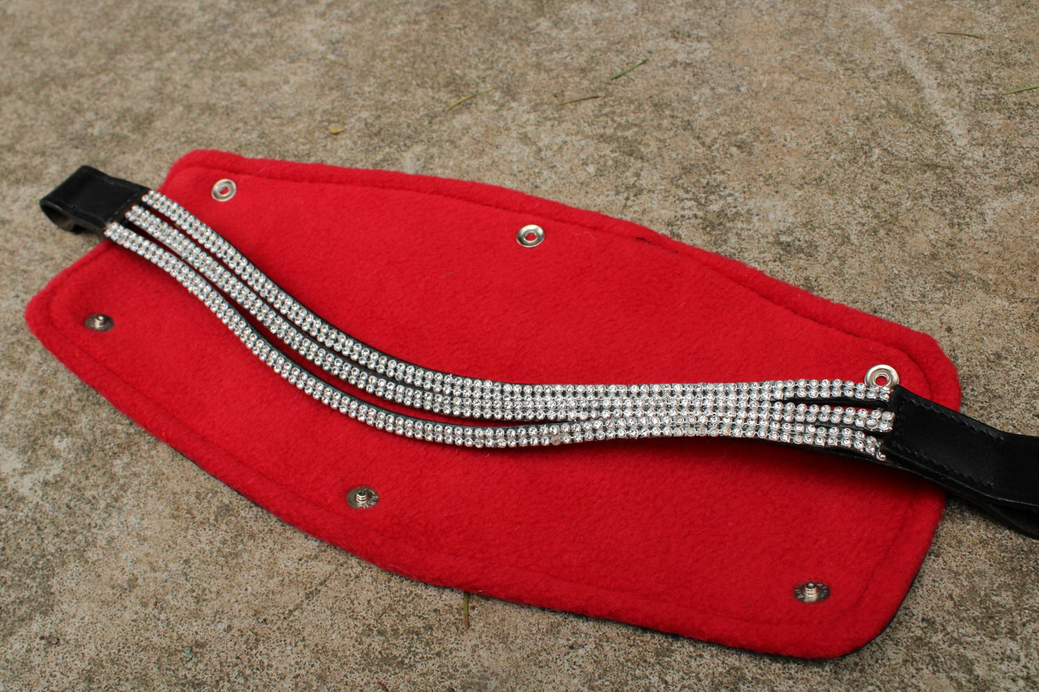 Protect those Dressage crowns!