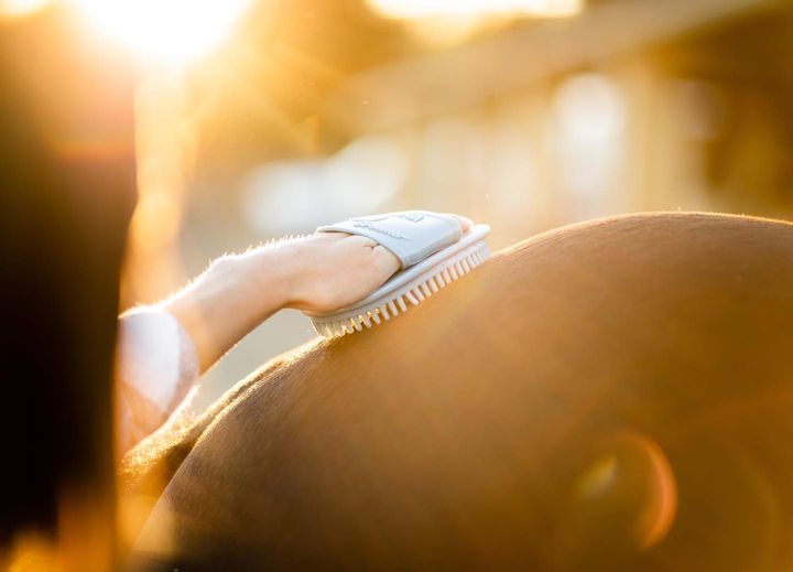 5 Benefits of Currying Your Horse