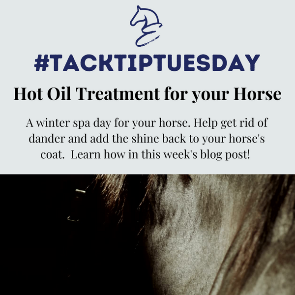 Hot Oil Treatment for your Horse