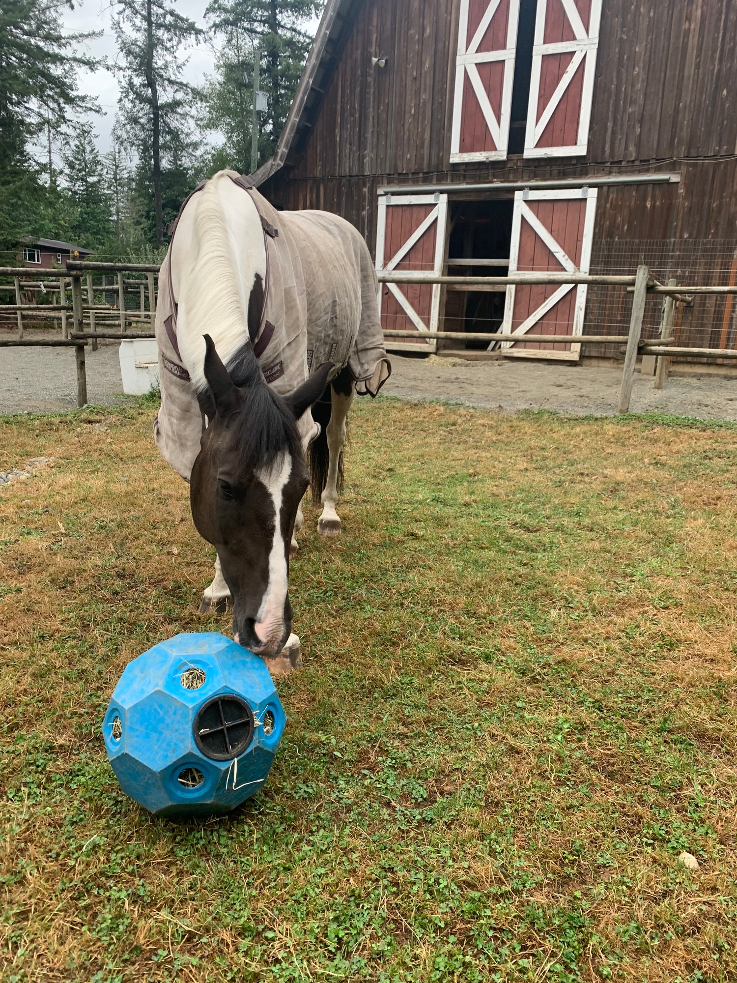 Slowing Down the Hungry Hippos