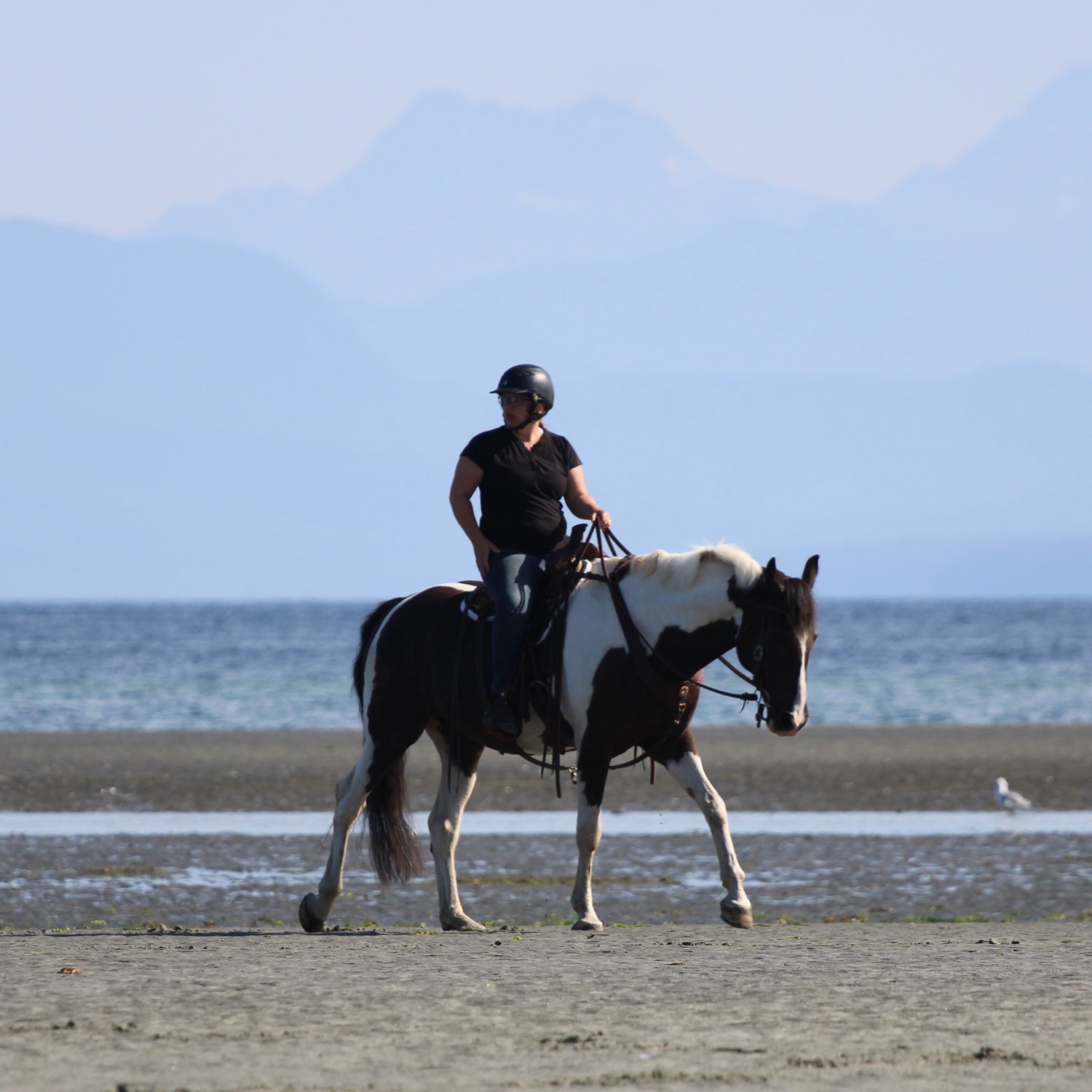 After your Beach Ride!