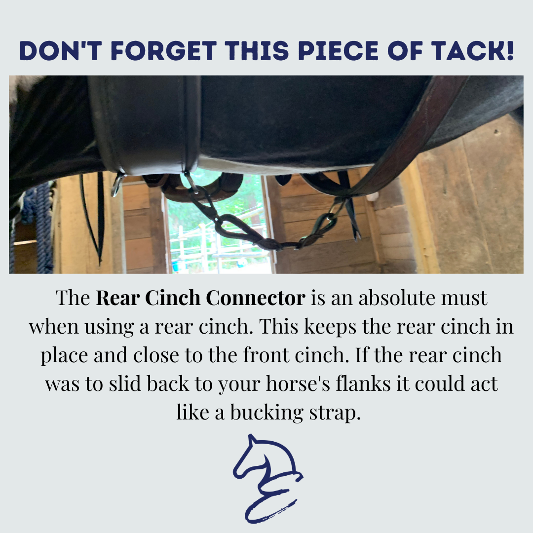 Rear Cinch Fit