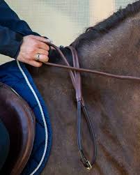 Caring for your Rubber Reins