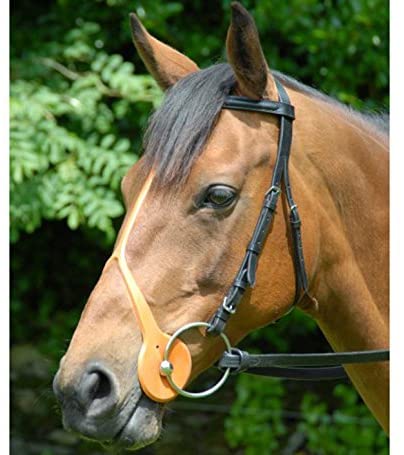 The Piece of Tack You've Probably Never Heard Of