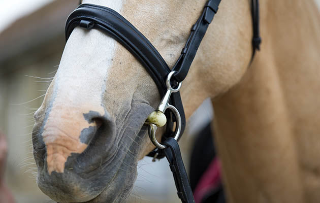 Hanging Check Snaffle