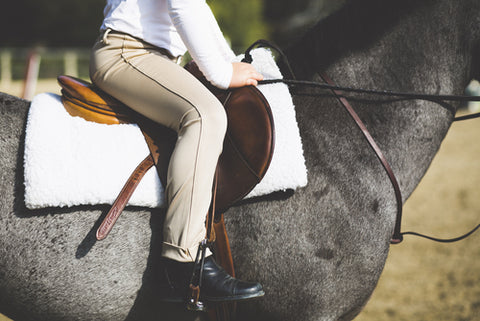 Jodhpurs vs Breeches