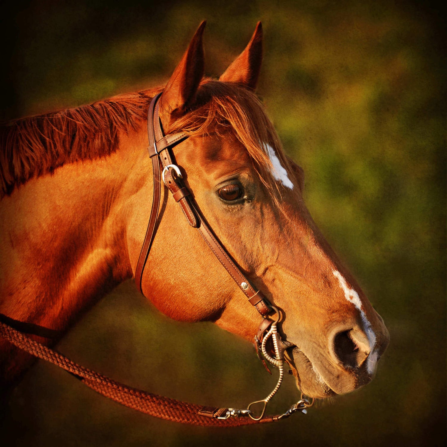 Finding the Right Sized Bit