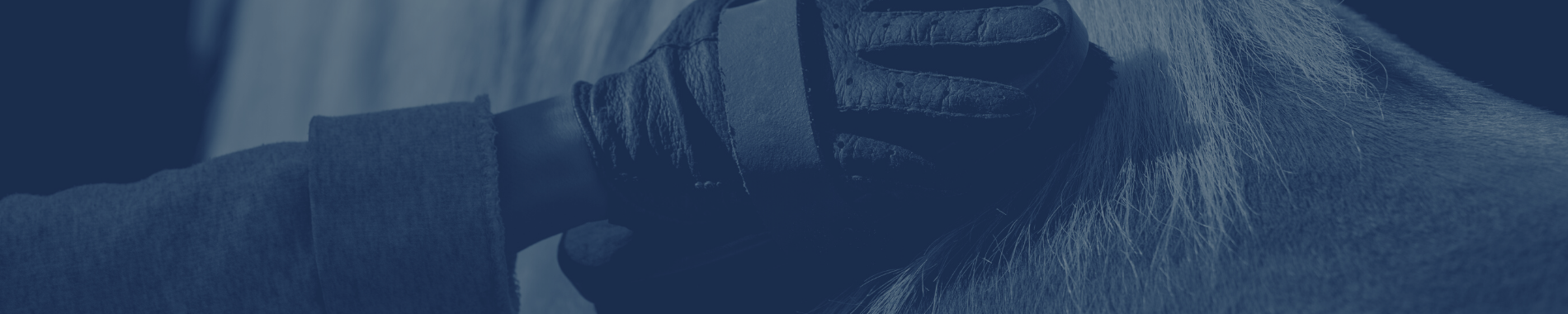 Brushes and Grooming Supplies