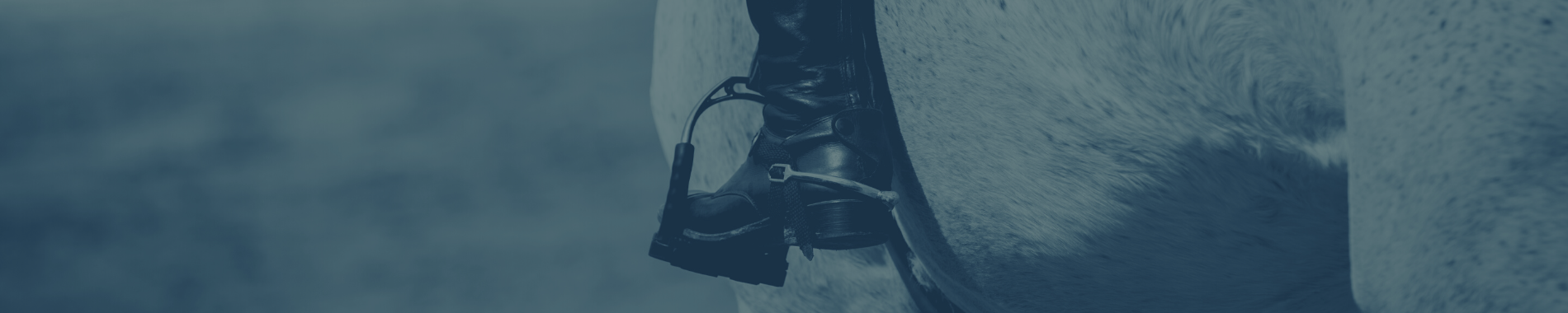 English Spurs and Straps