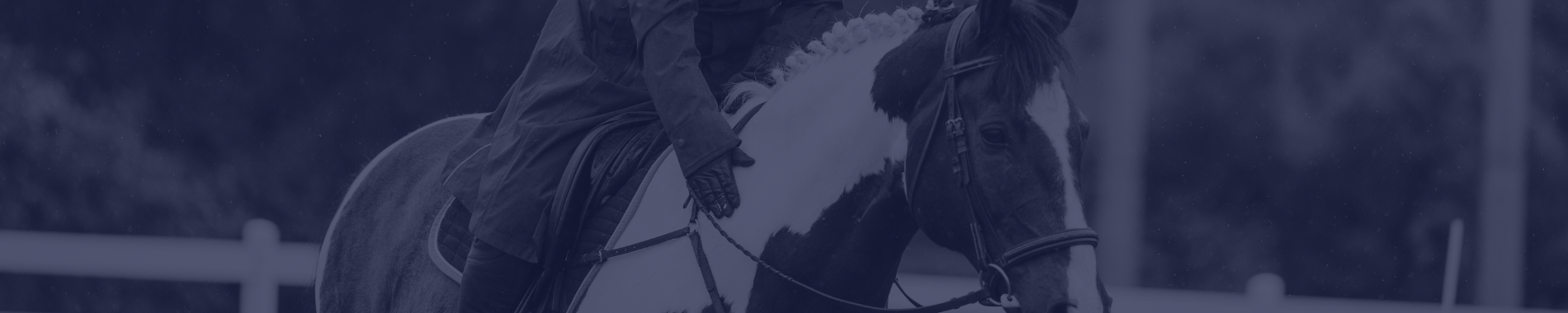 Consignment English Bridles