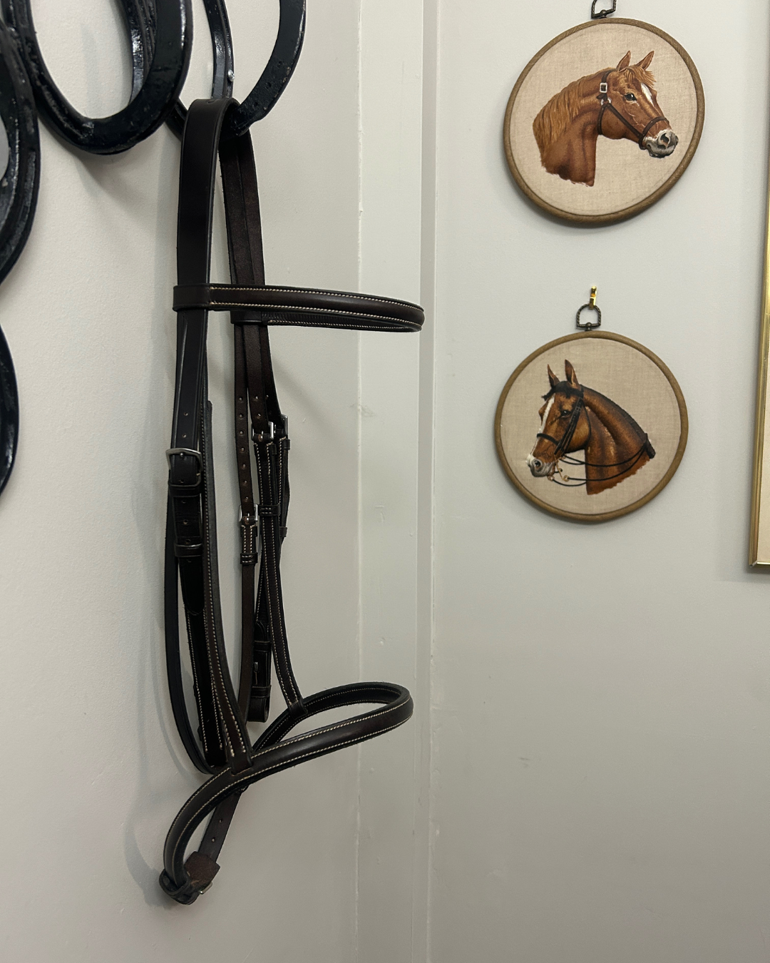 Just Arrived Consignment! – Evolution Equestrian Co.
