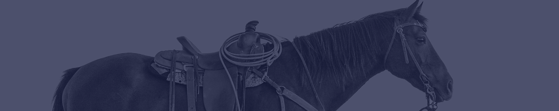 Consignment Western Headstalls