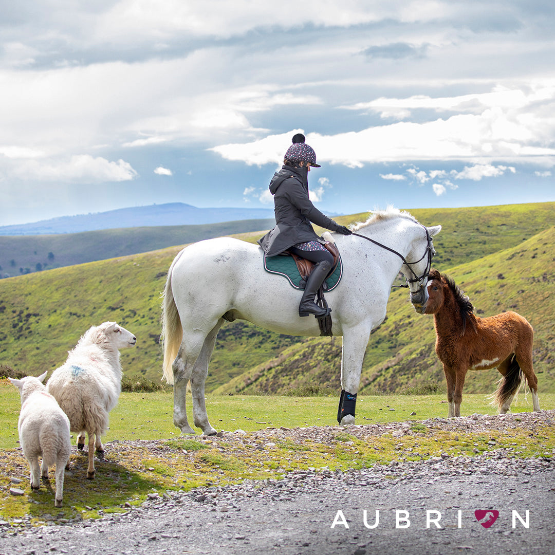 Shires Equestrian