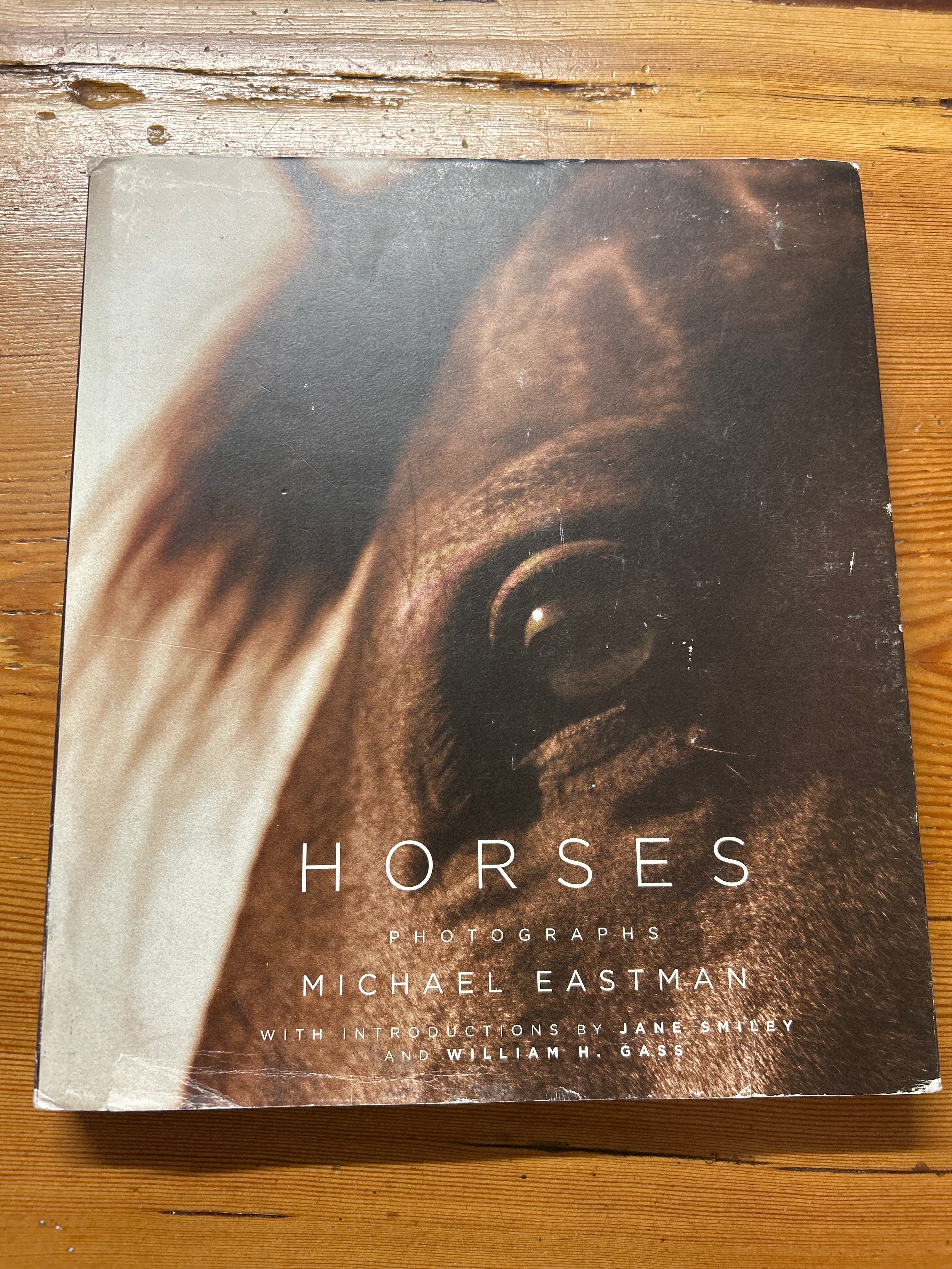 Horses Photographs Michael Eastman