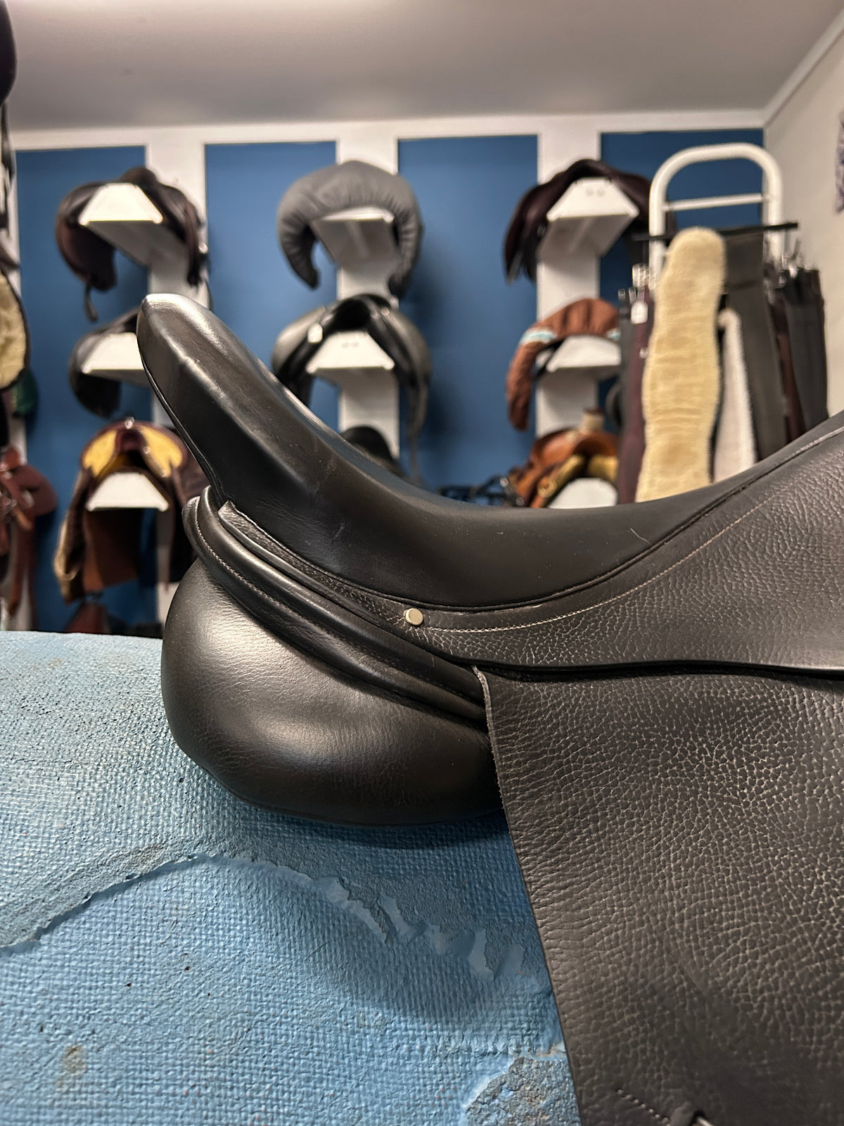 17" Albion Platinum Ultima Dressage Saddle