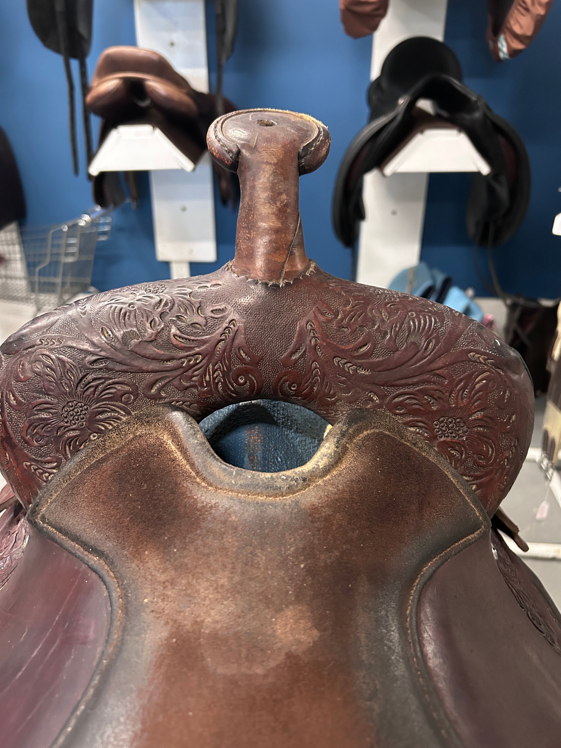 15" Circle Y Equitation Western Saddle-Saddle-Consignment-Evolution Equestrian Co.