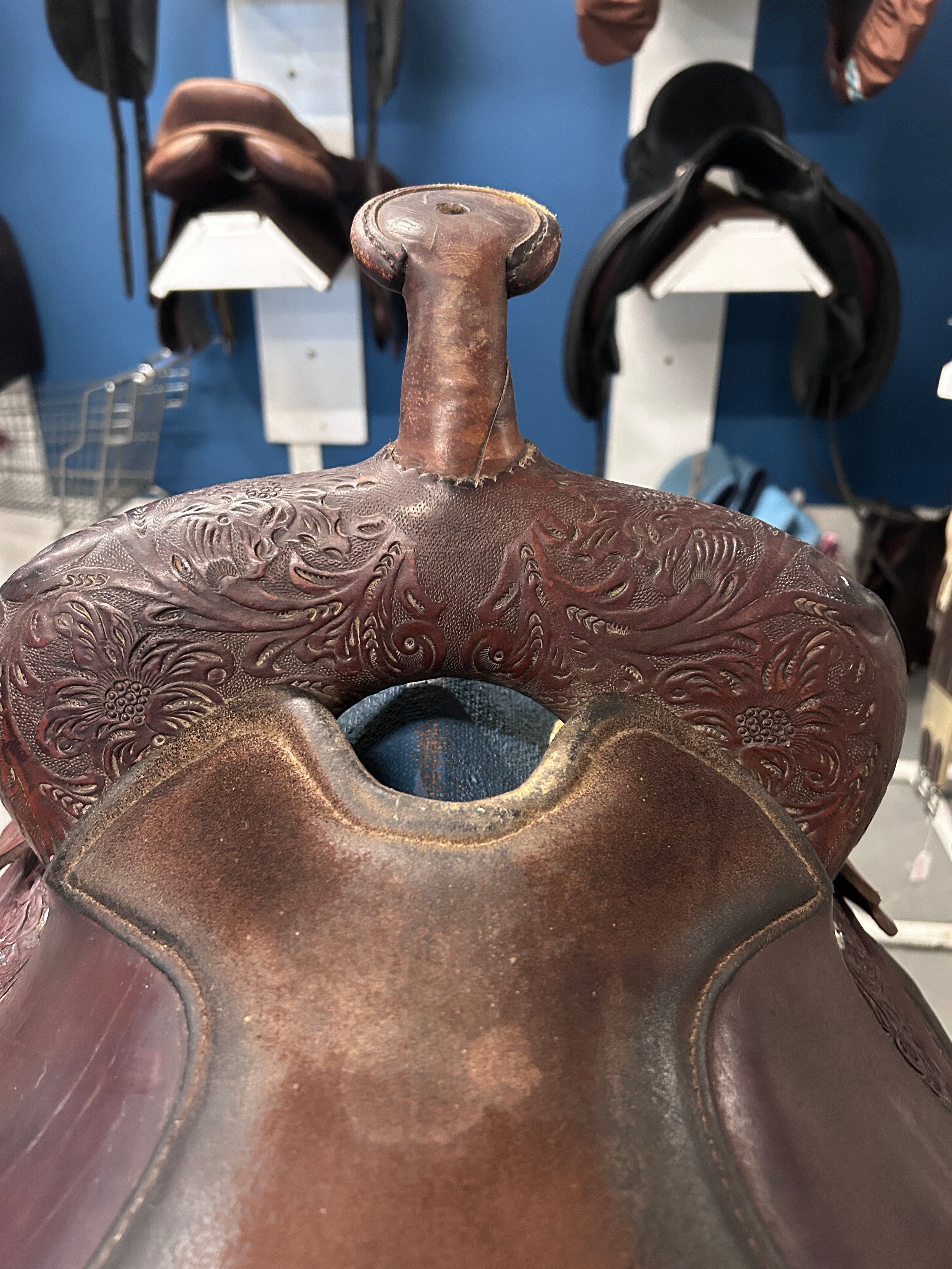 15" Circle Y Equitation Western Saddle-Saddle-Consignment-Evolution Equestrian Co.