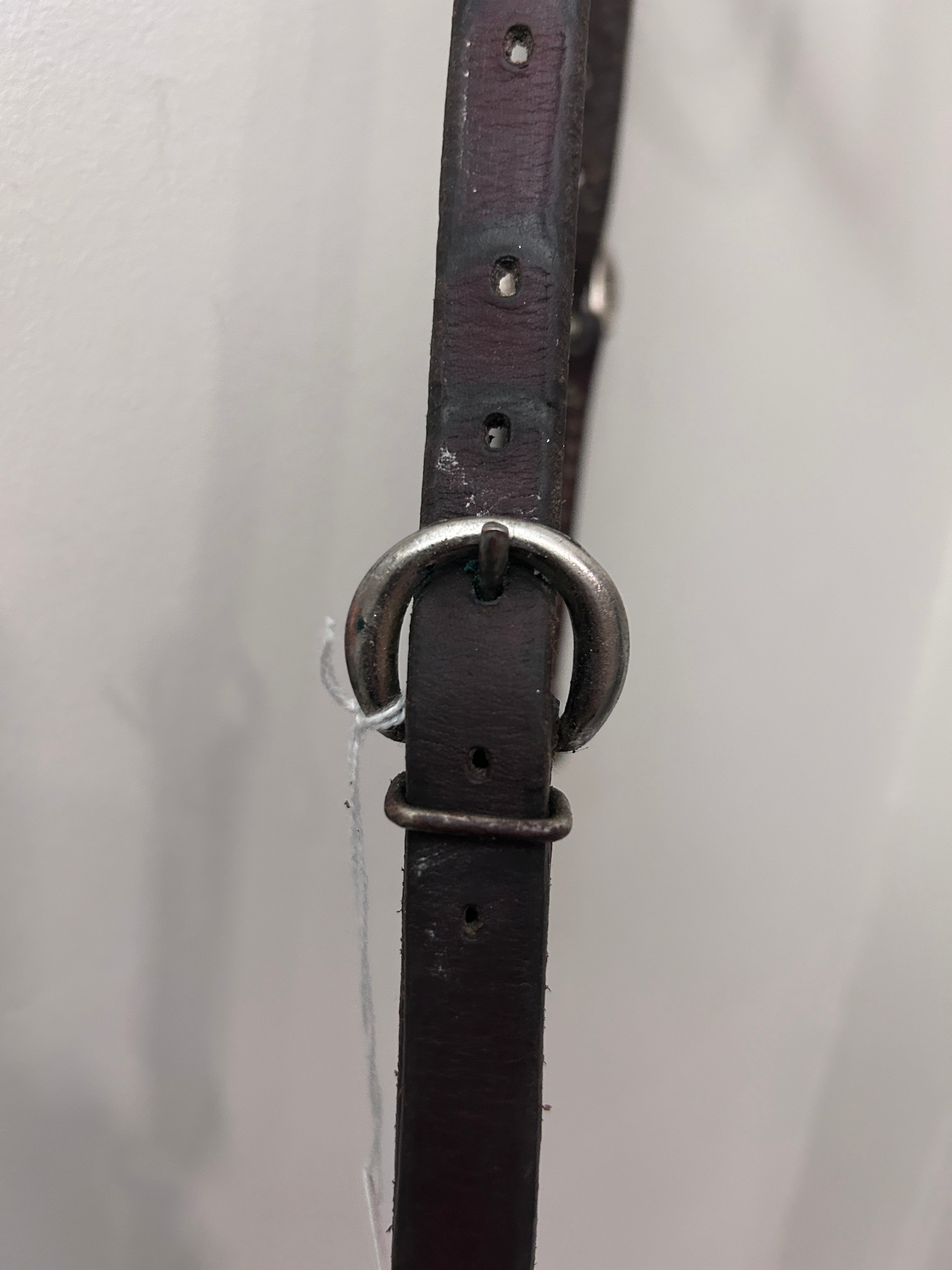 Training Quick-Change Headstall