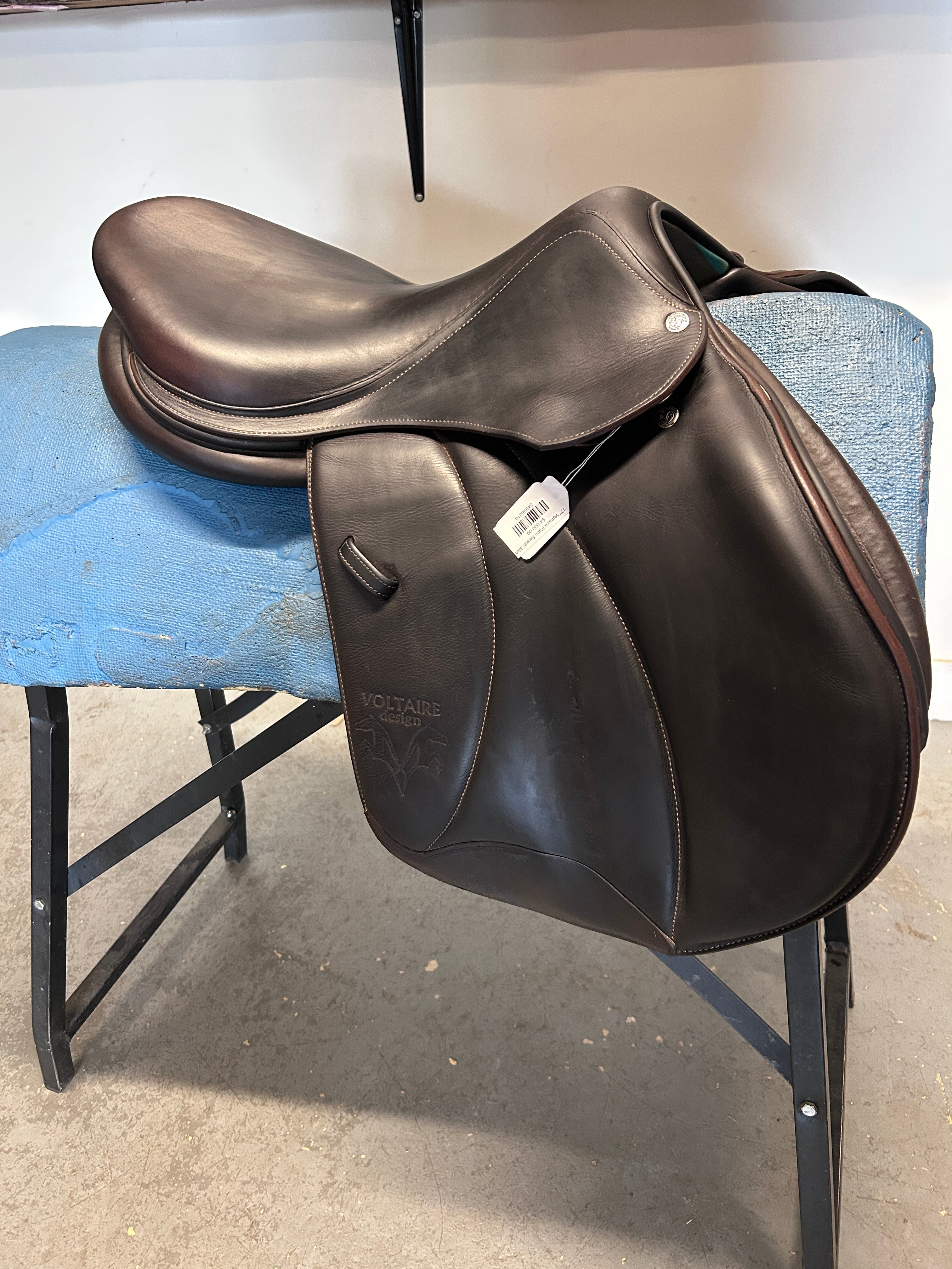 17" Voltaire Palm Beach 3AA