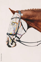 Load image into Gallery viewer, Schockemohle Sports Equitus Alpha Anatomic Bridle
