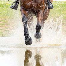 Load image into Gallery viewer, Shires Arma Over Reach Bell Boots
