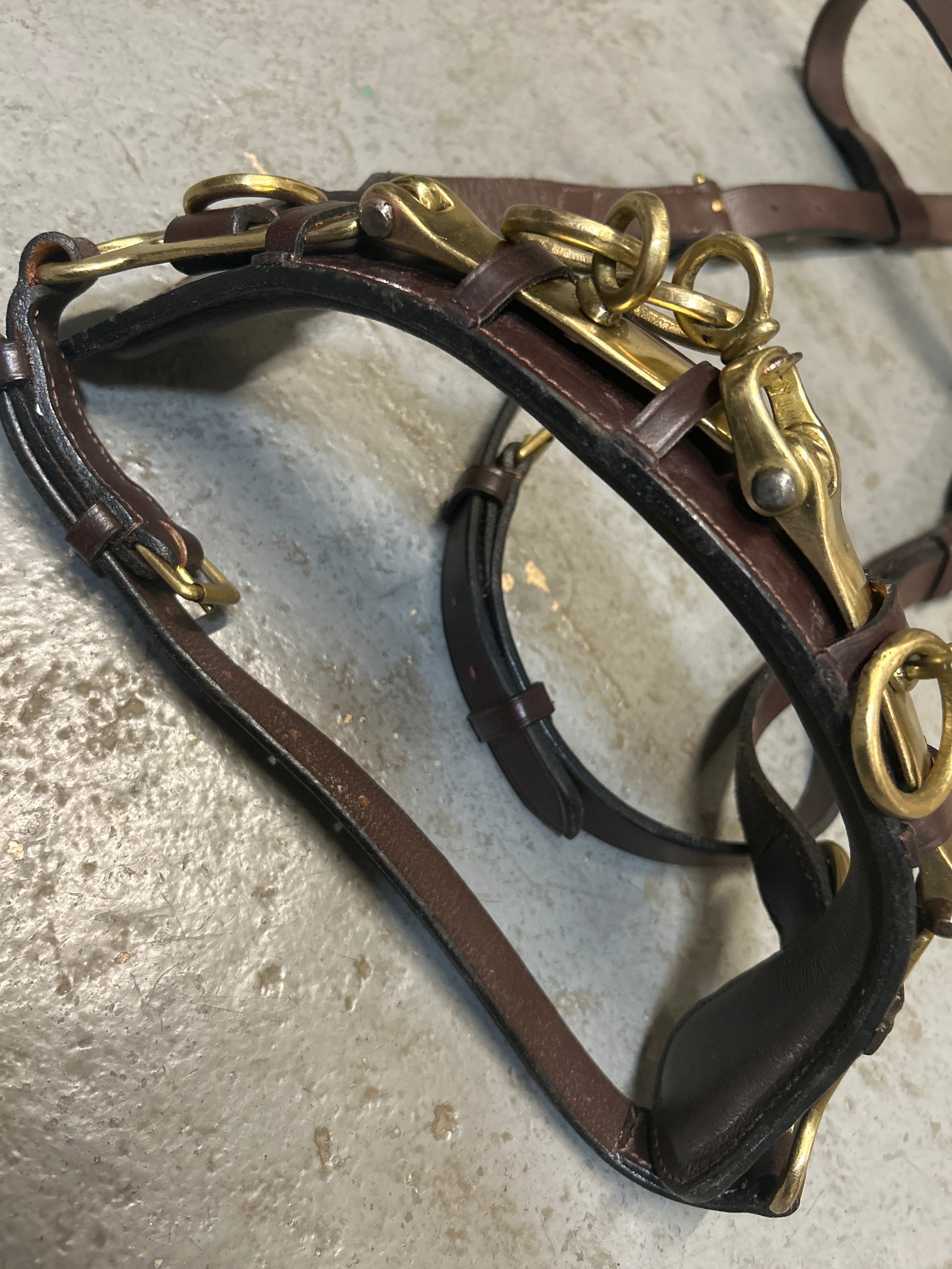 Leather Lunging Cavesson