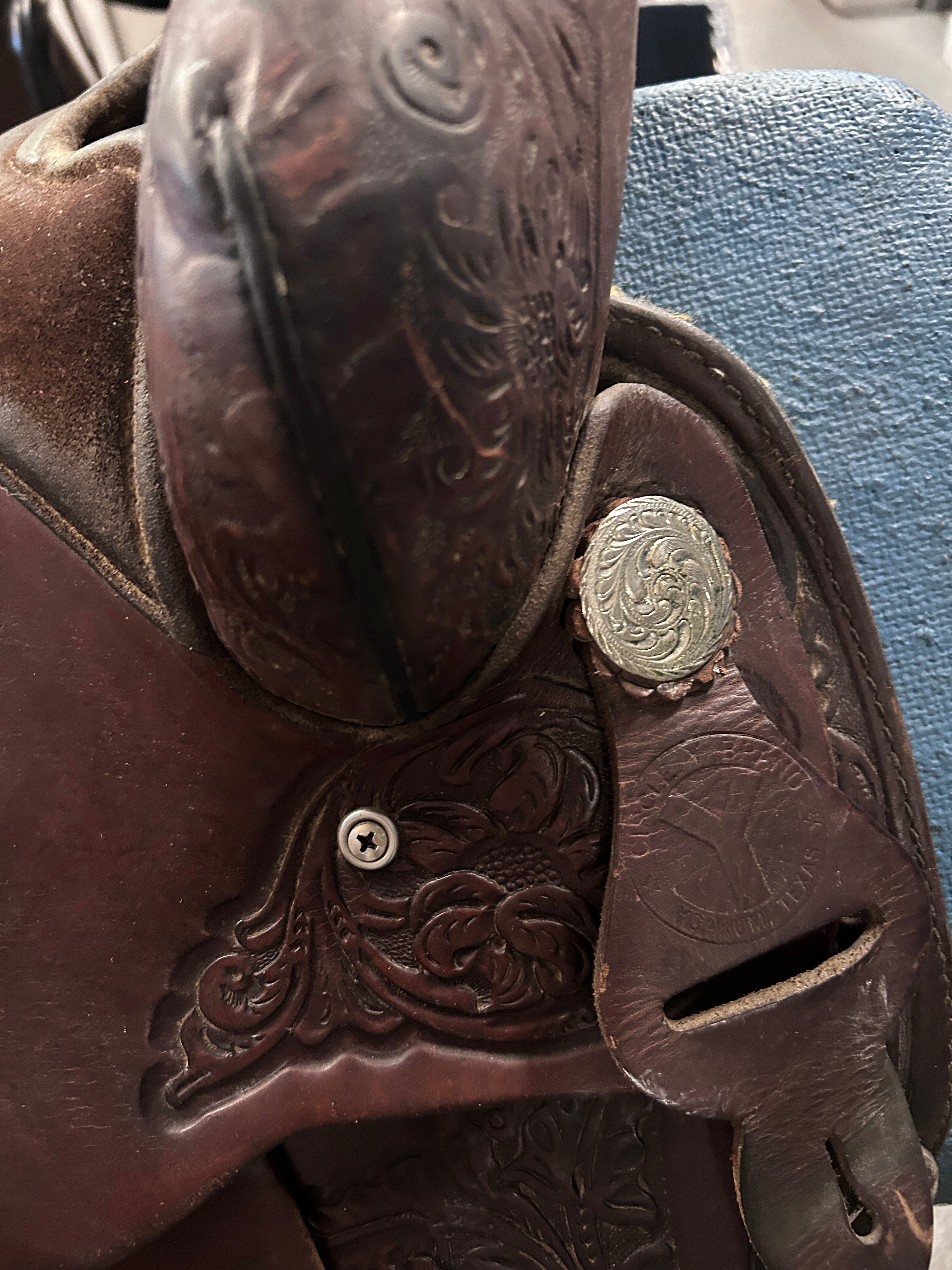 15" Circle Y Equitation Western Saddle-Saddle-Consignment-Evolution Equestrian Co.
