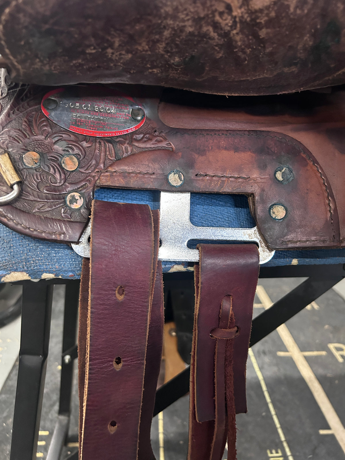 14.5" Circle Y Western Saddle-Saddle-Consignment-Evolution Equestrian Co.