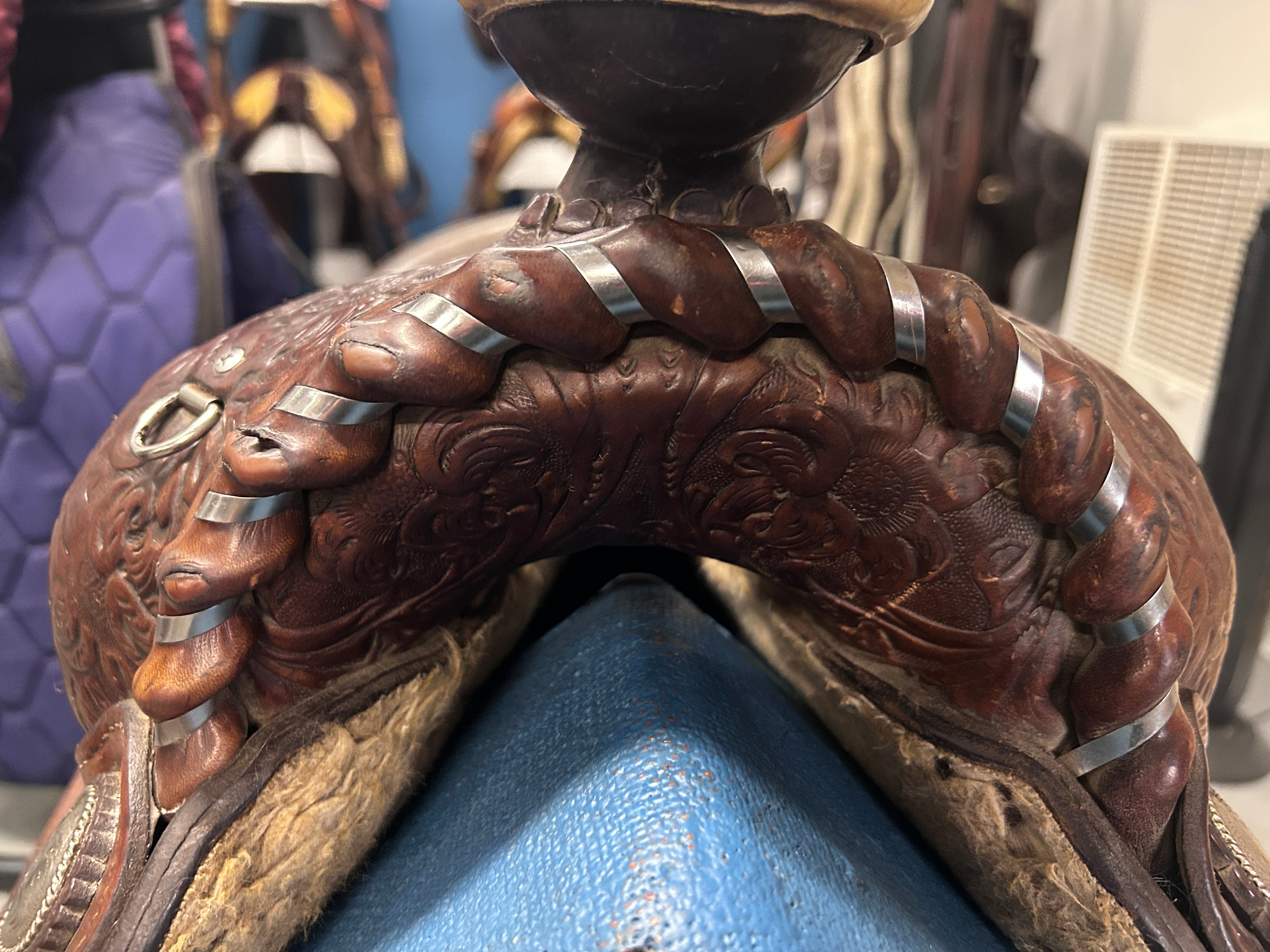 14.5" Circle Y Western Saddle-Saddle-Consignment-Evolution Equestrian Co.