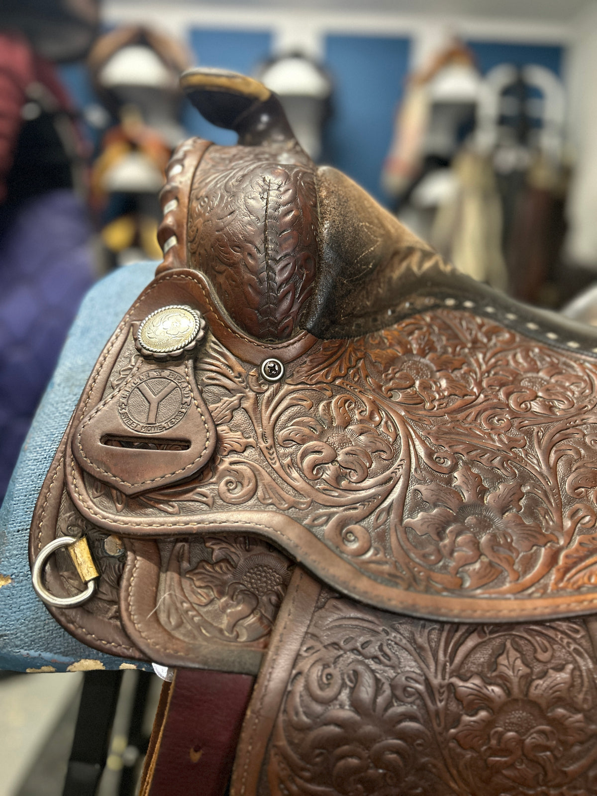 14.5" Circle Y Western Saddle-Saddle-Consignment-Evolution Equestrian Co.