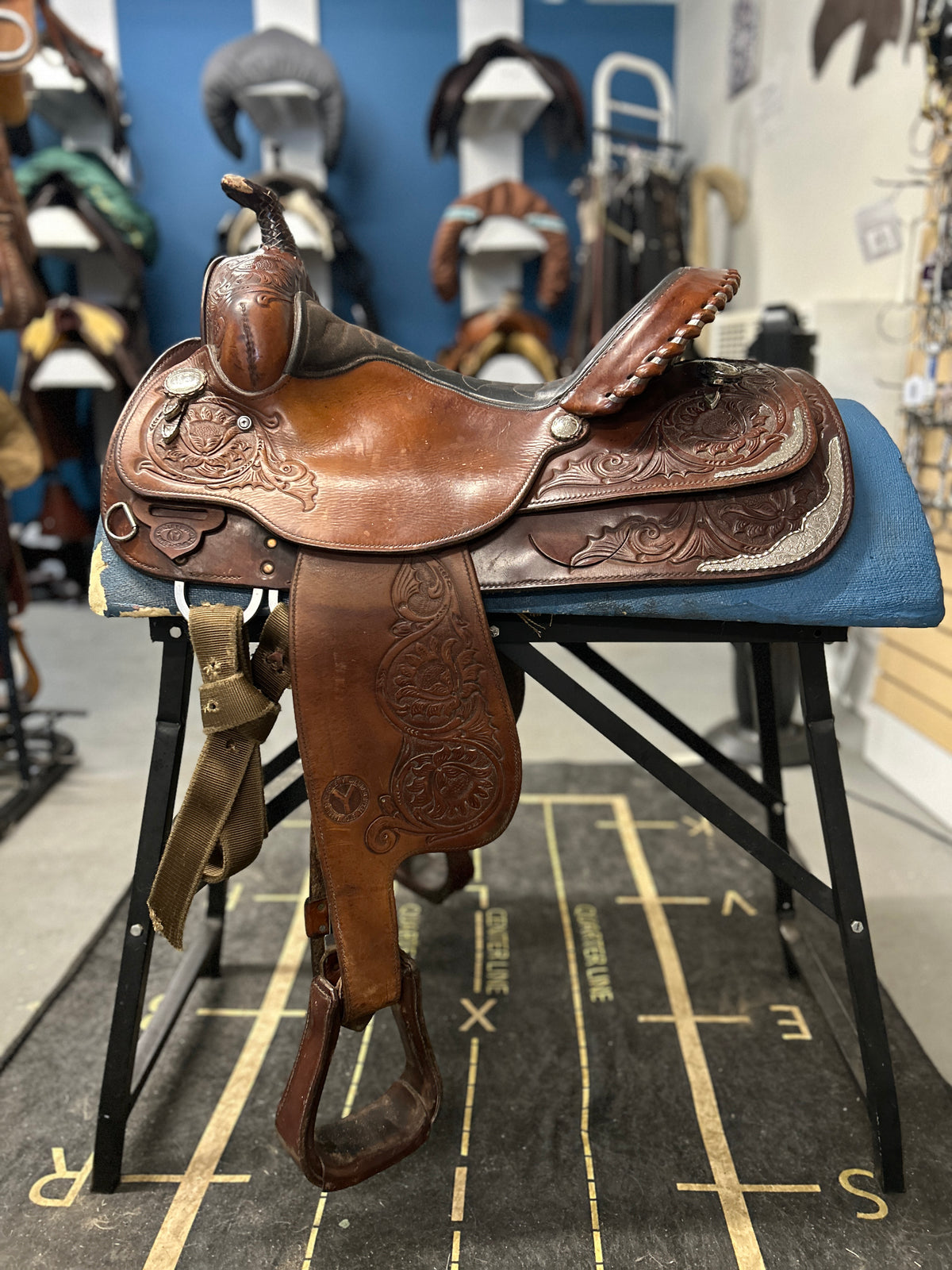 15" Circle Y Equitation Saddle-Saddle-Consignment-Evolution Equestrian Co.