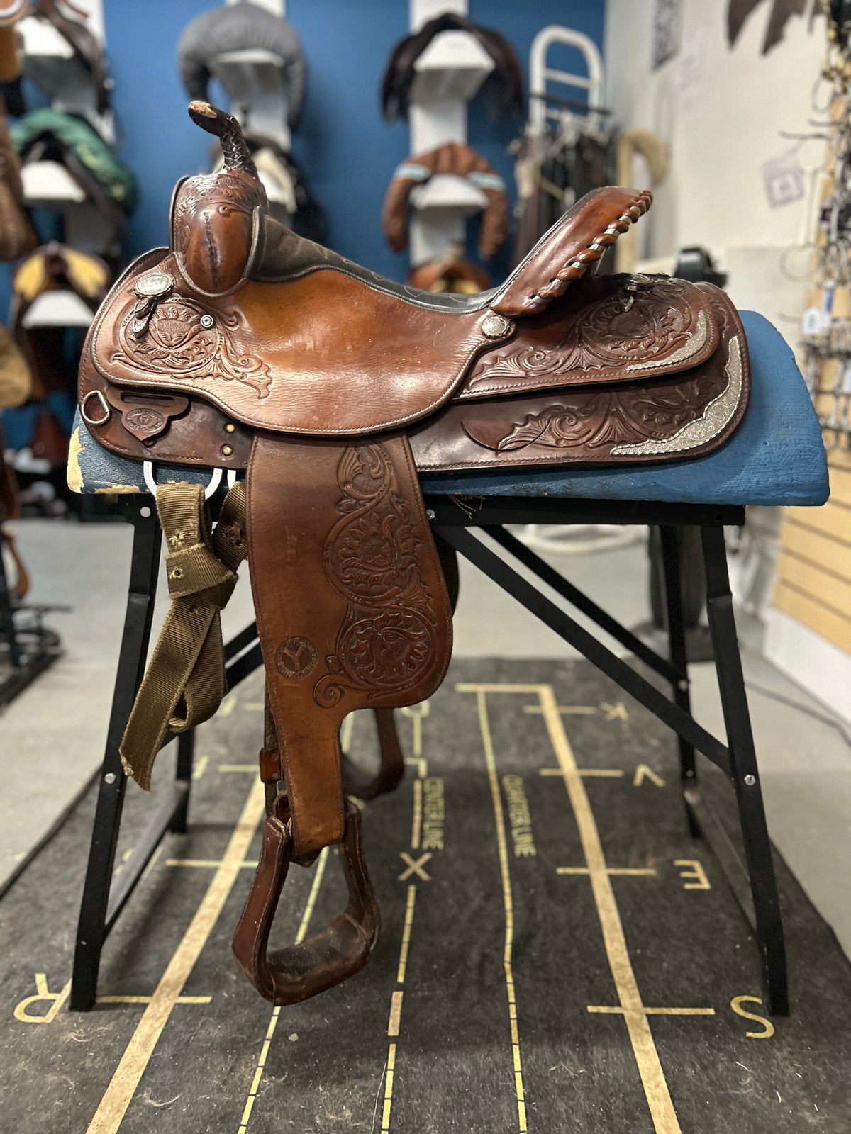 15" Circle Y Equitation Saddle-Saddle-Consignment-Evolution Equestrian Co.
