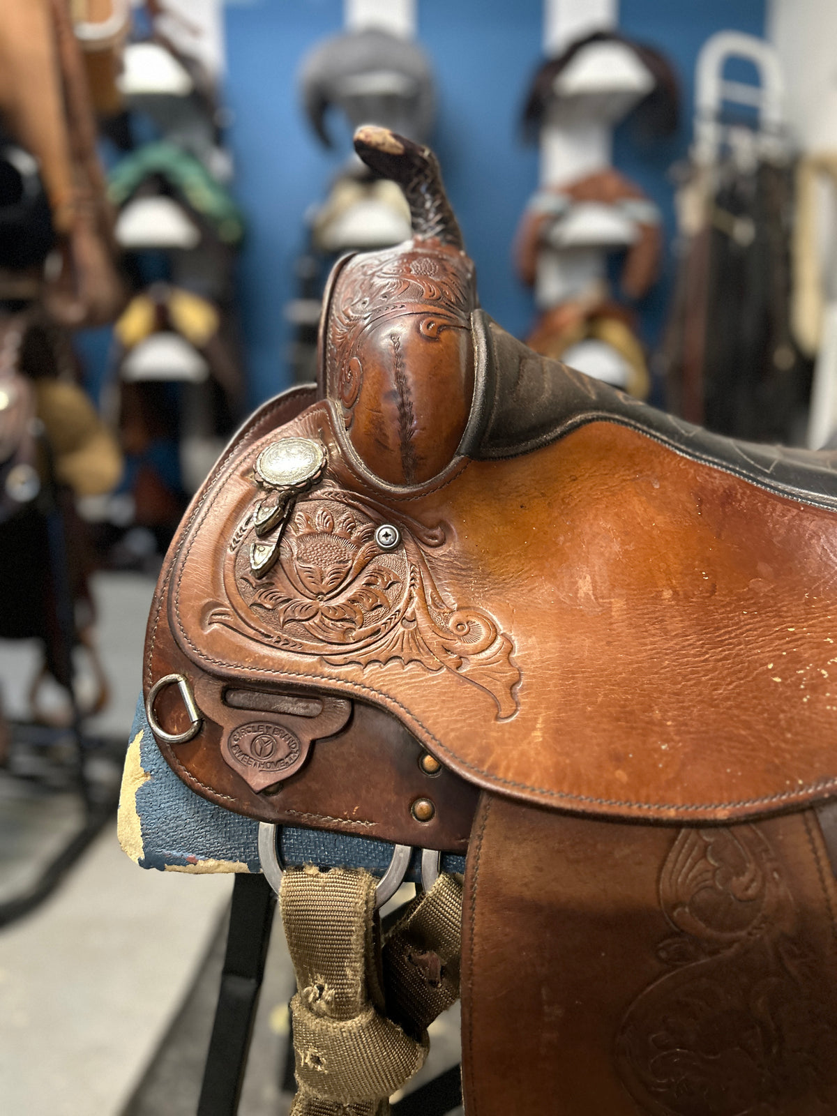 15" Circle Y Equitation Saddle-Saddle-Consignment-Evolution Equestrian Co.